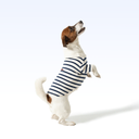 IYAC_PARISIAN PUP SHIRT